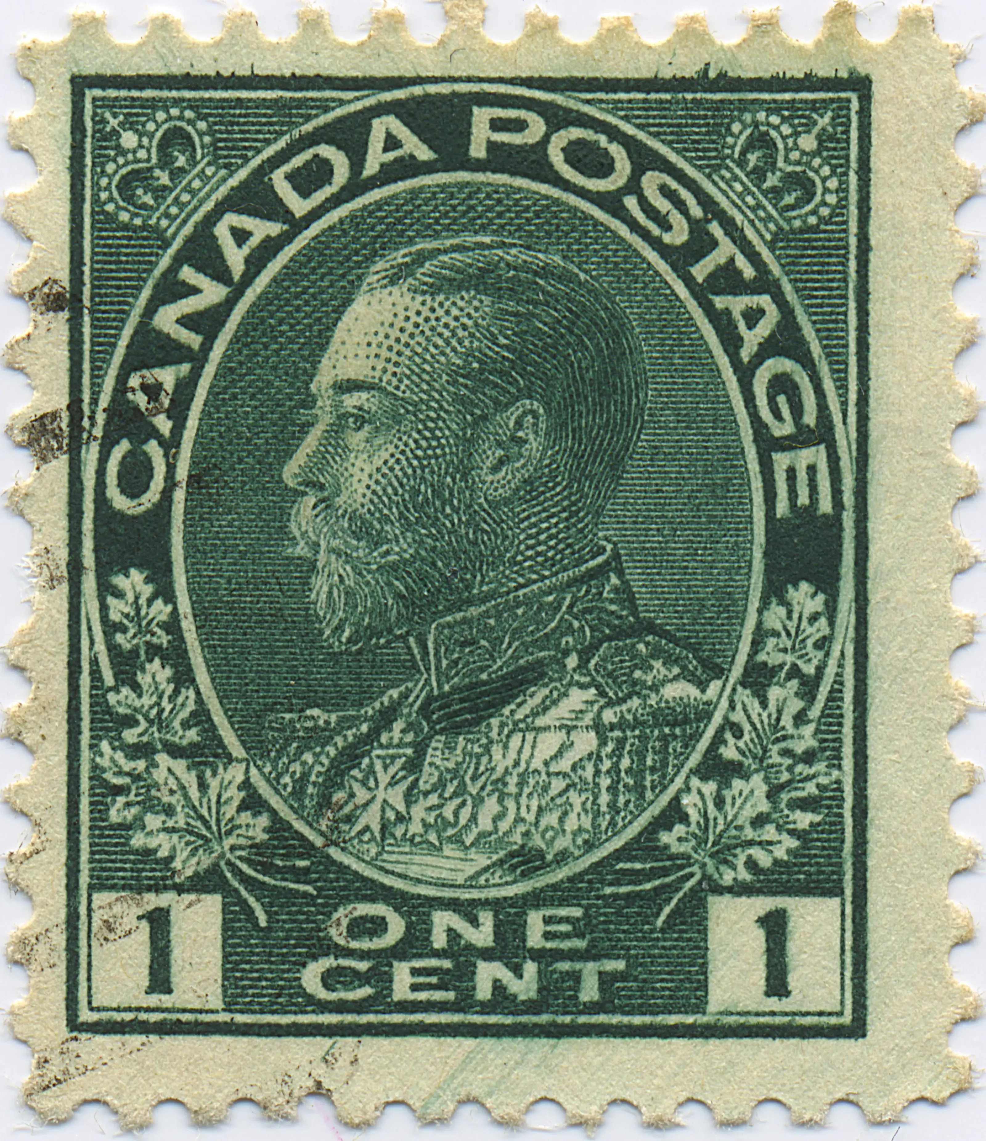 1¢G 41LL9 type.webp