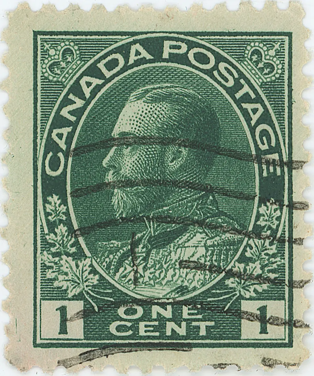 1¢G f z 1 fa wgb.webp