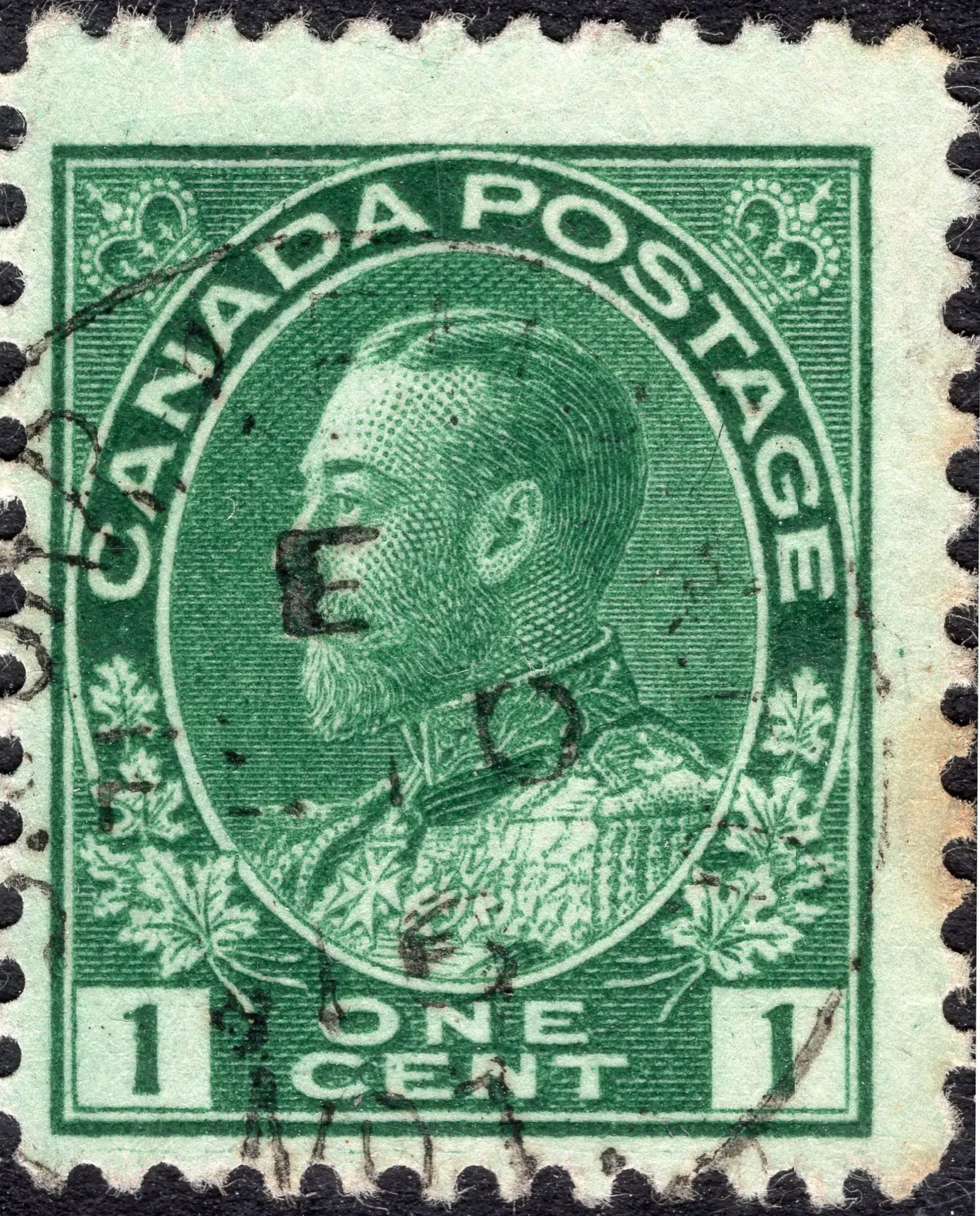 1¢g-sty-mpe.webp