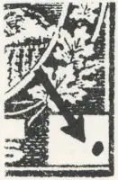 Reiche 1¢G 12.webp