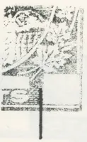 Reiche 1¢G 16.webp
