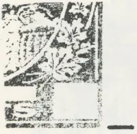 Reiche 1¢G 19.webp