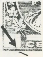 Reiche 1¢G 24.webp