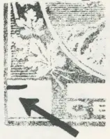 Reiche 1¢G 25.webp