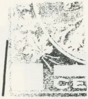 Reiche 1¢G 29.webp