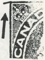 Reiche 2c- 69.webp