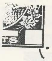 Reiche 2c-11.webp