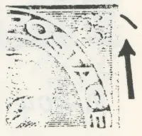 Reiche 2c-113.webp