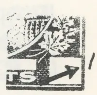 Reiche 2c-12.webp