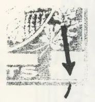 Reiche 2c-18.webp