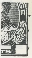 Reiche 2c-27.webp