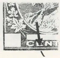Reiche 2c-29.webp