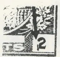 Reiche 2c-3.webp