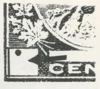Reiche 2c-35.webp