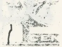 Reiche 2c- 42.webp