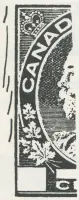 Reiche 2c- 62.webp