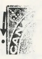 Reiche 2c- 67.webp