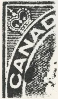 Reiche 2c- 70.webp