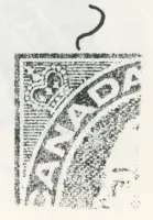 Reiche 2c- 79.webp