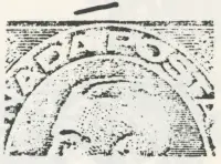 Reiche 2c-89.webp
