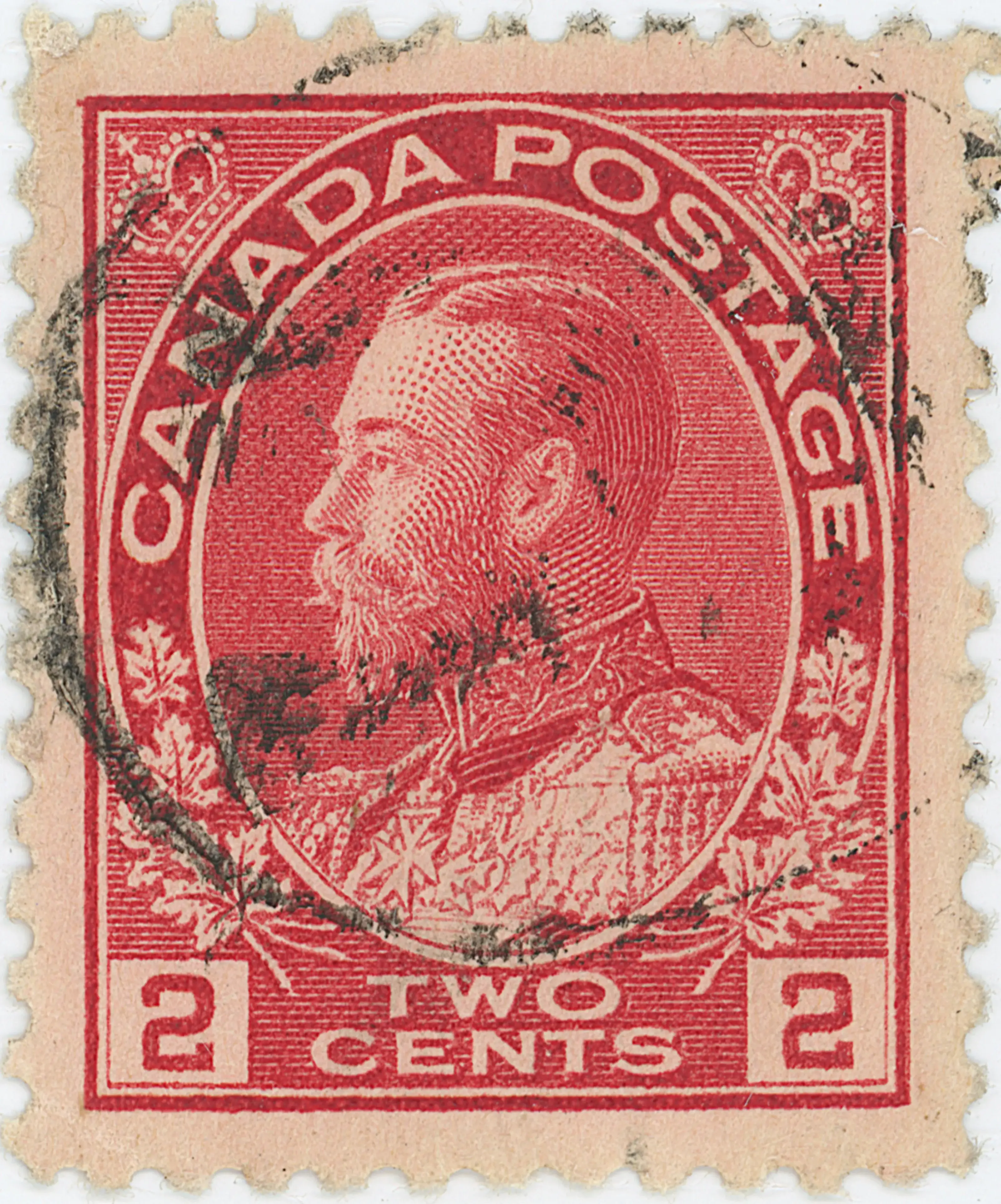 2¢C T Z8 JN.webp