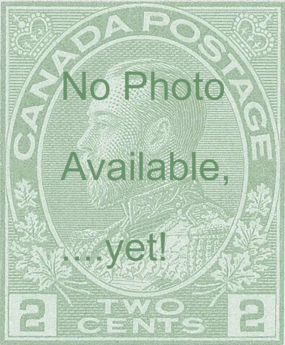 2-cent-green-219lr11.webp