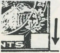 Reiche 20¢ 3.webp