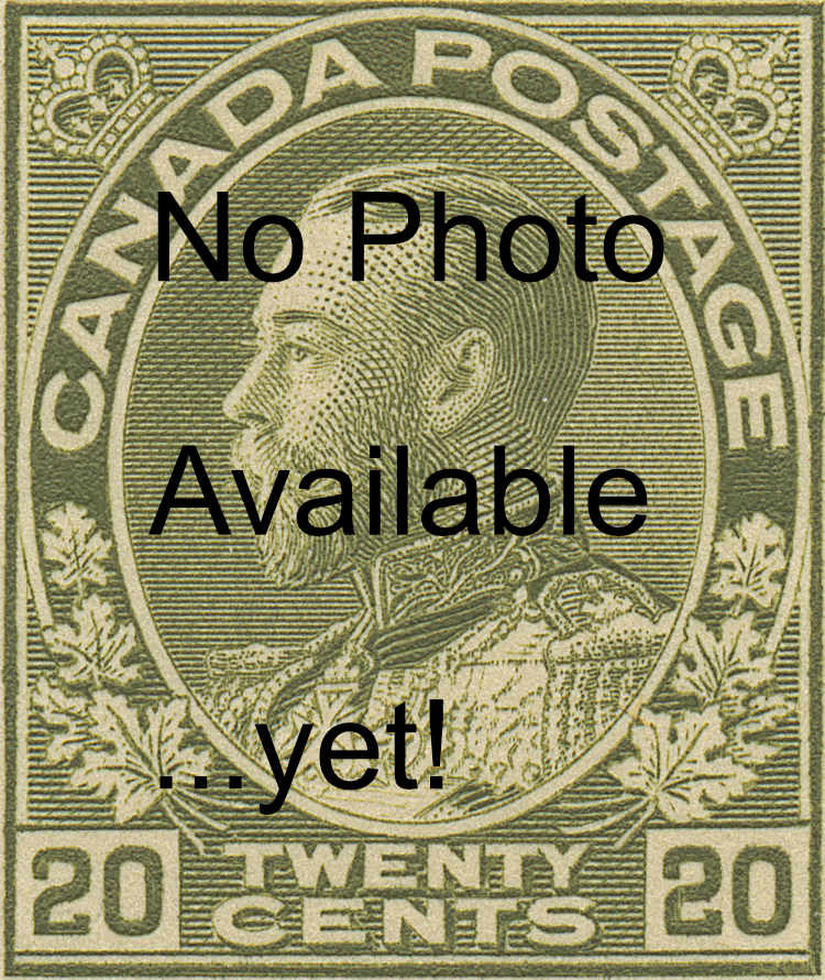 20 No Photo.jpg