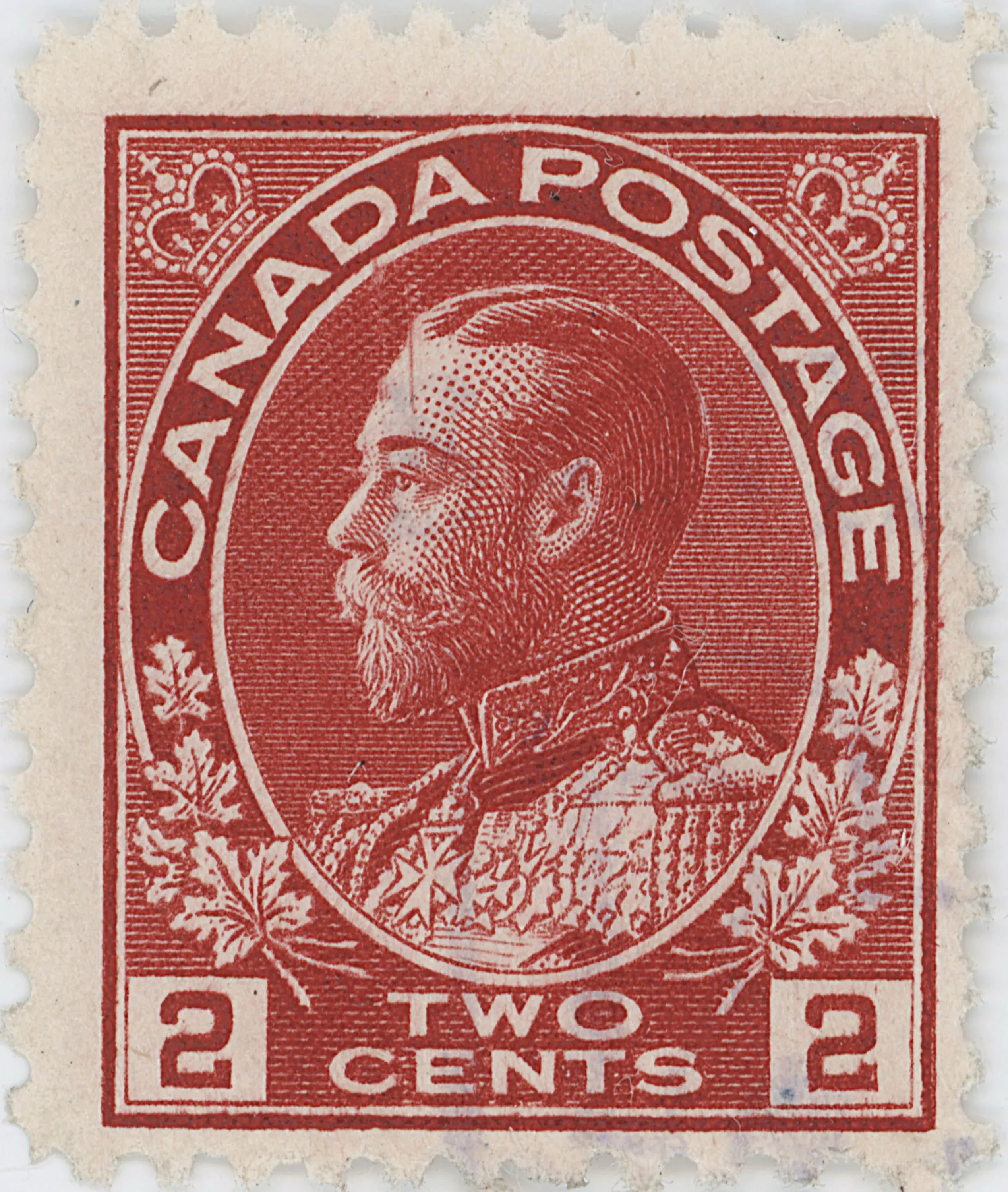 2¢C IIC 12 24 c.webp