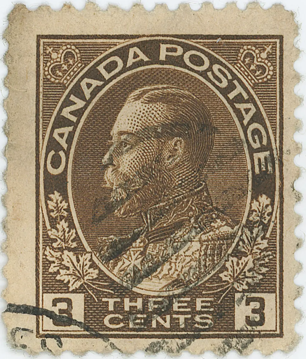 3¢B f z8 ROA 11-0 b.webp