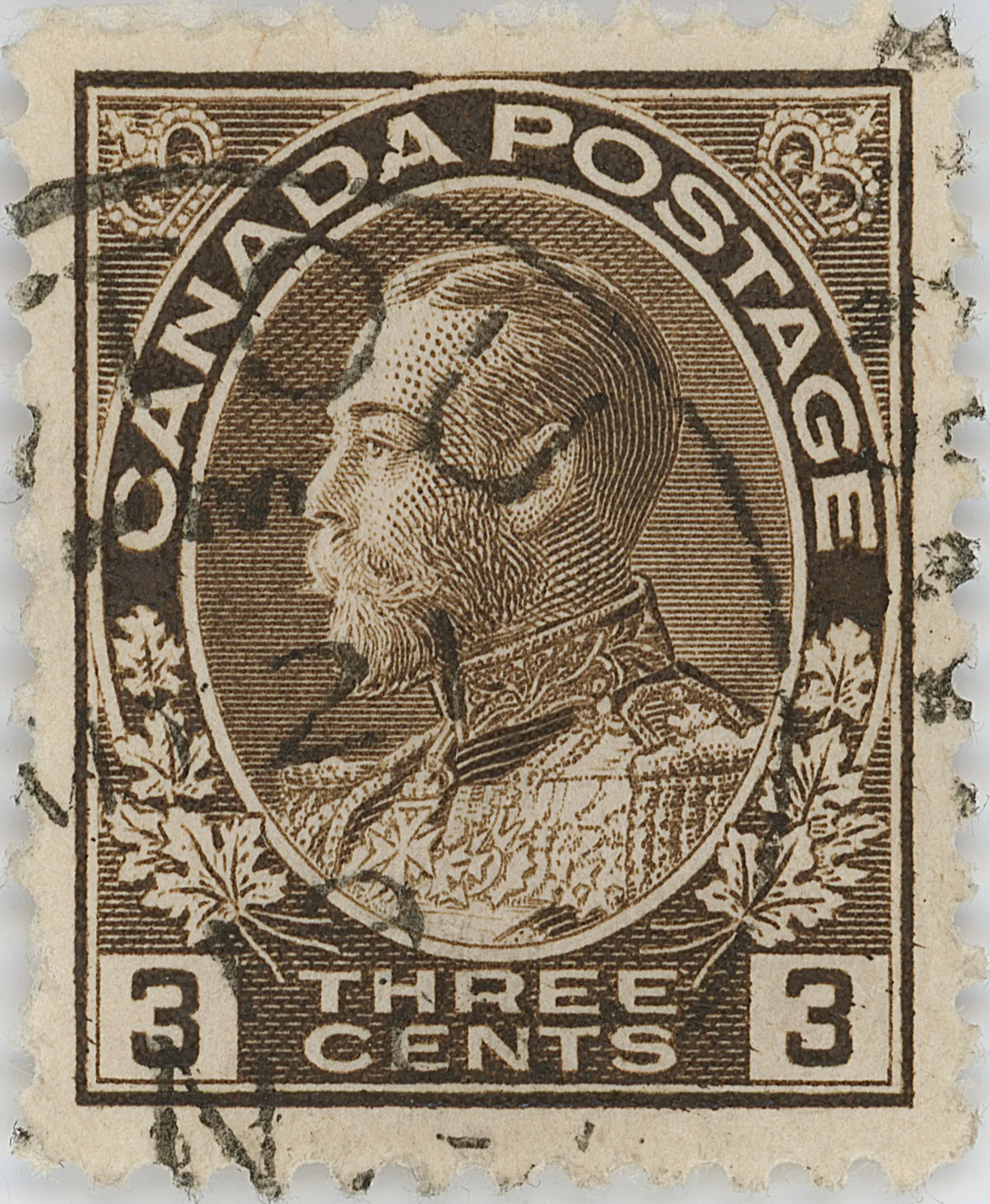 3-cent-brown-re-entry-top-b.webp