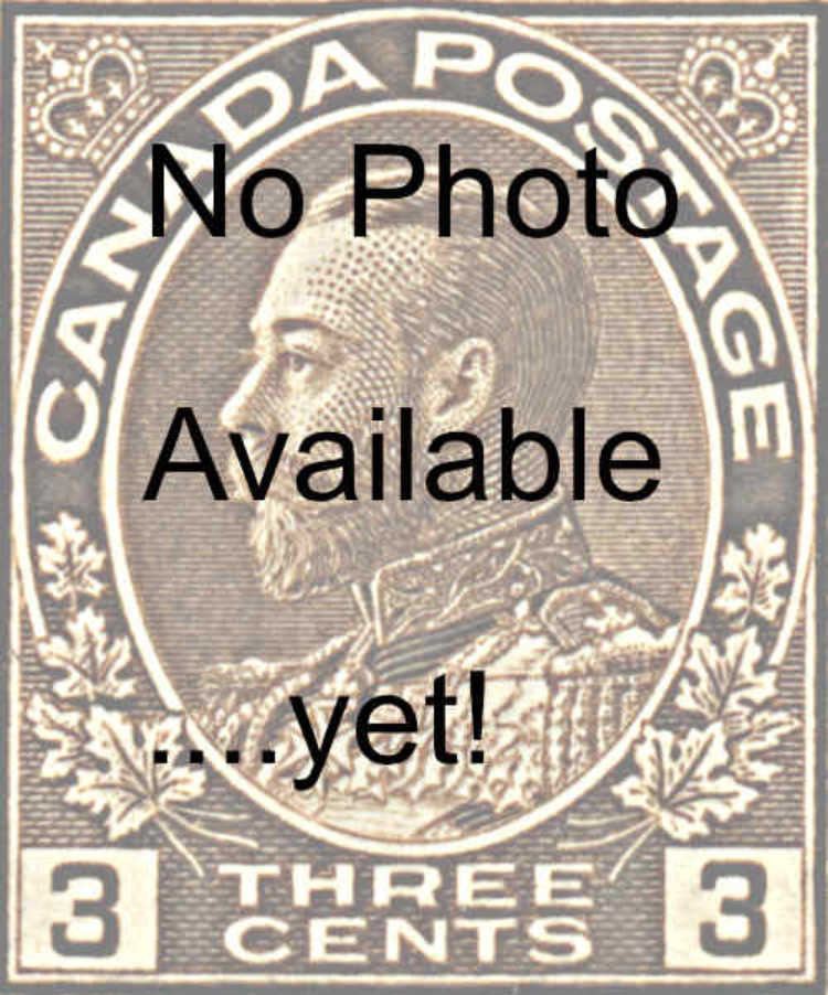 3 No Photo.jpg