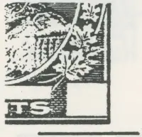 Reiche 3¢B 2.webp