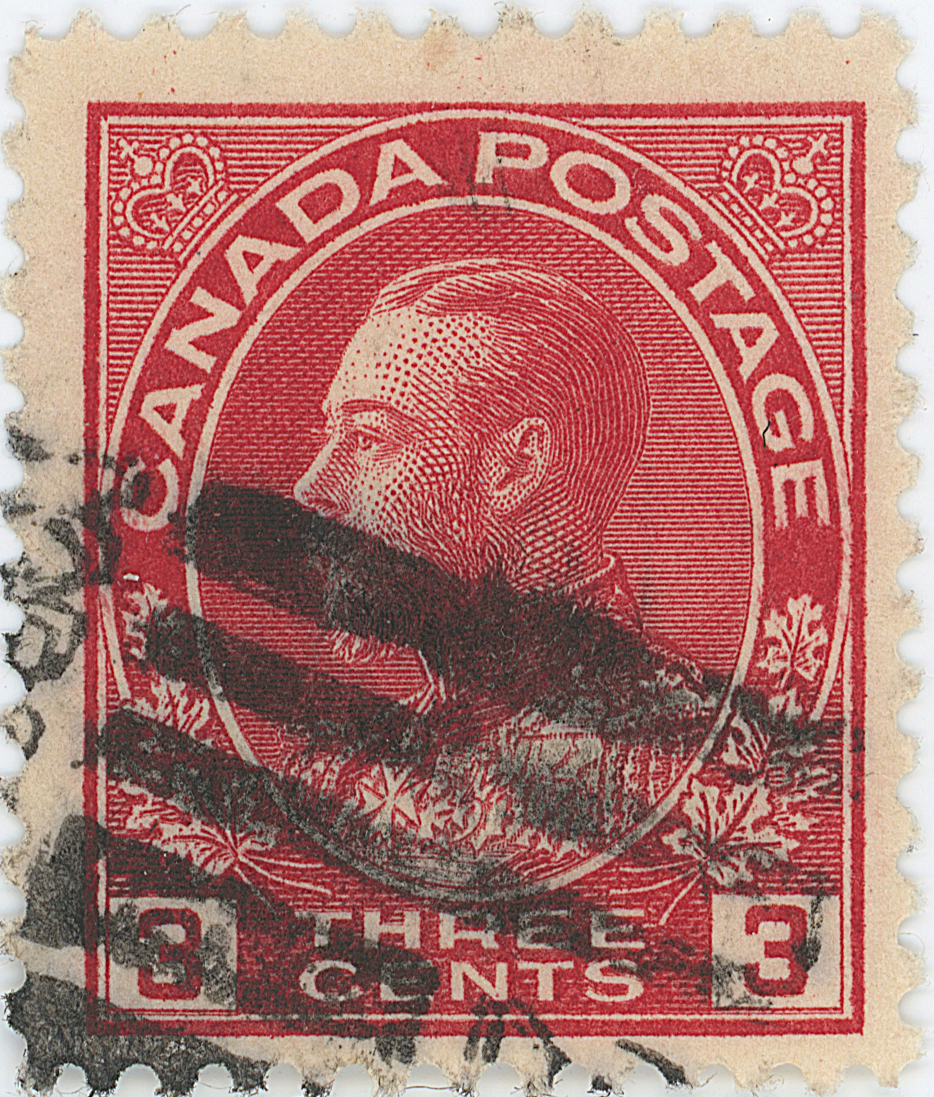 3¢C r z19 fa.jpg