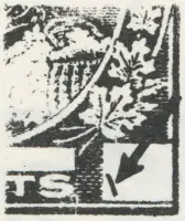 Reiche 5¢B 11.webp