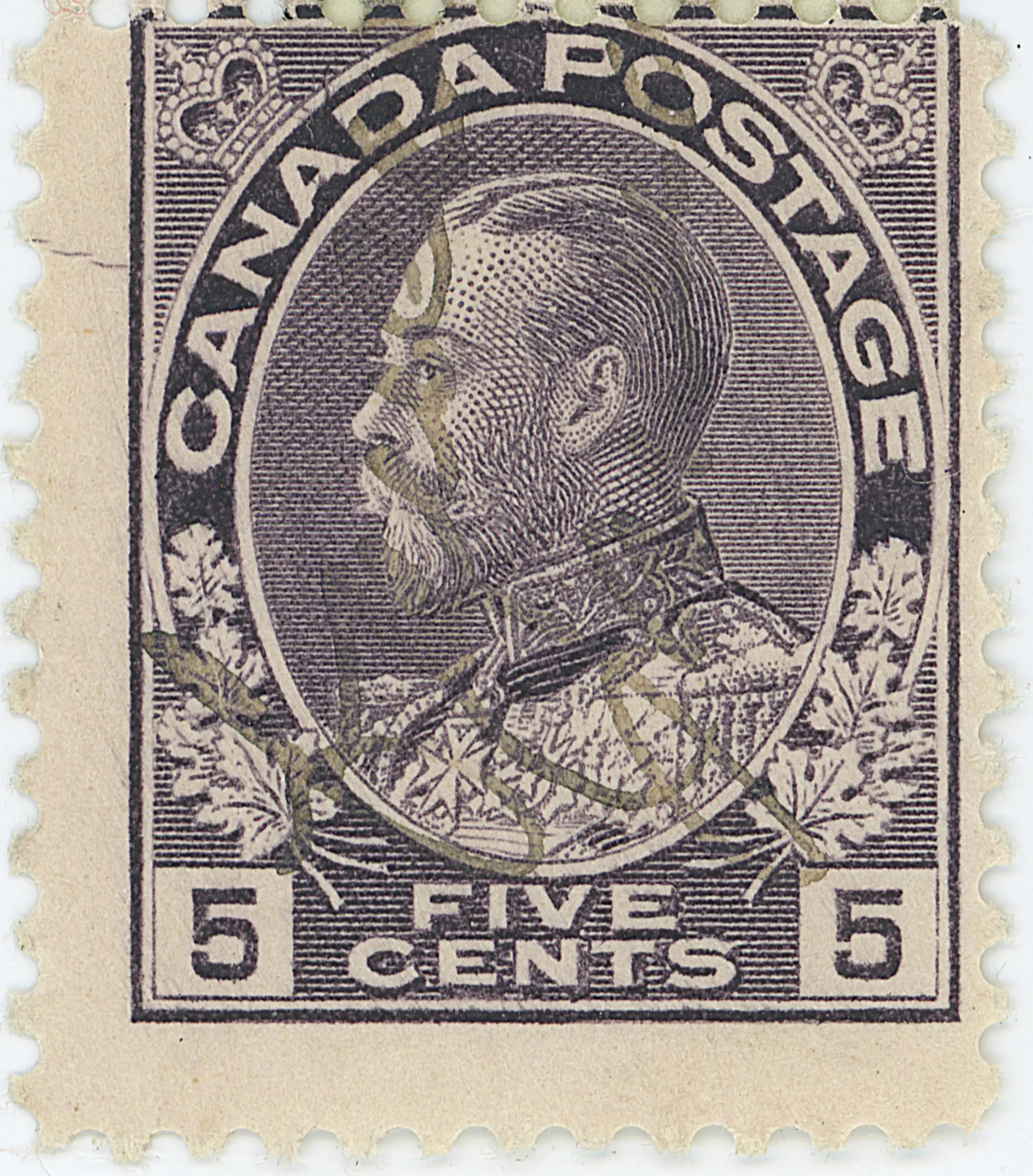 5¢V F Z8 AA.webp