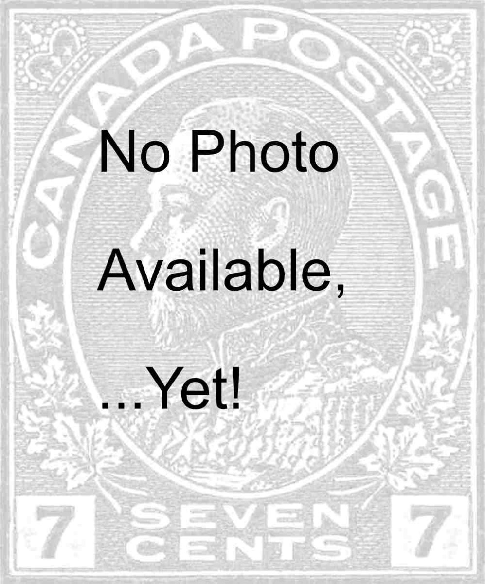 7 No Photo.jpg
