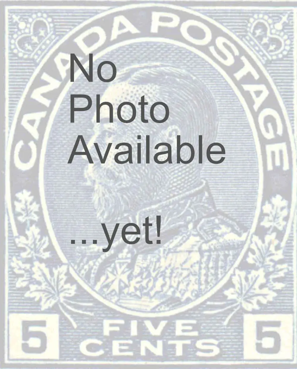 five-cent-blue-4lr42.webp