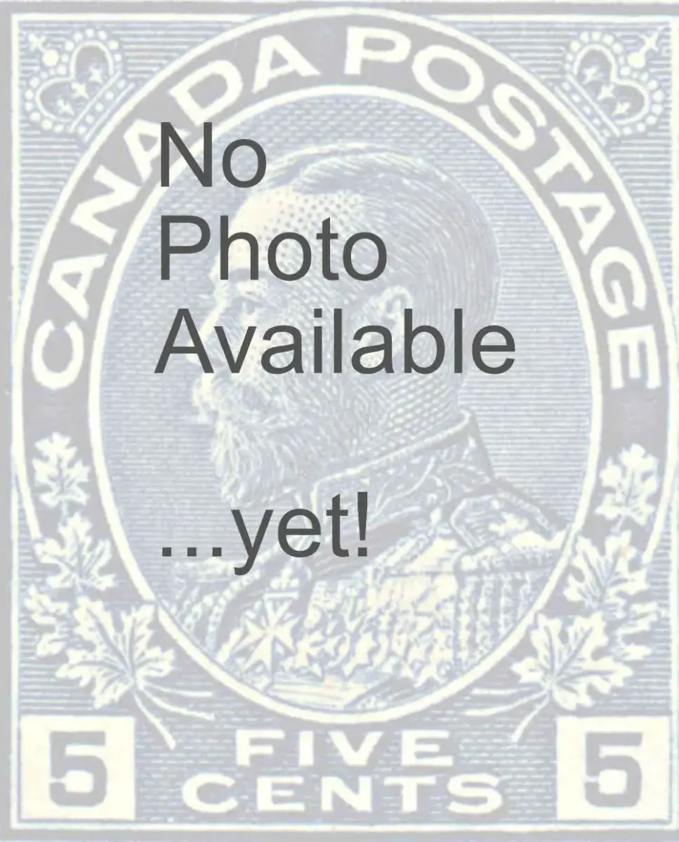 five-cent-violet-17lr84-image_primary-original.webp