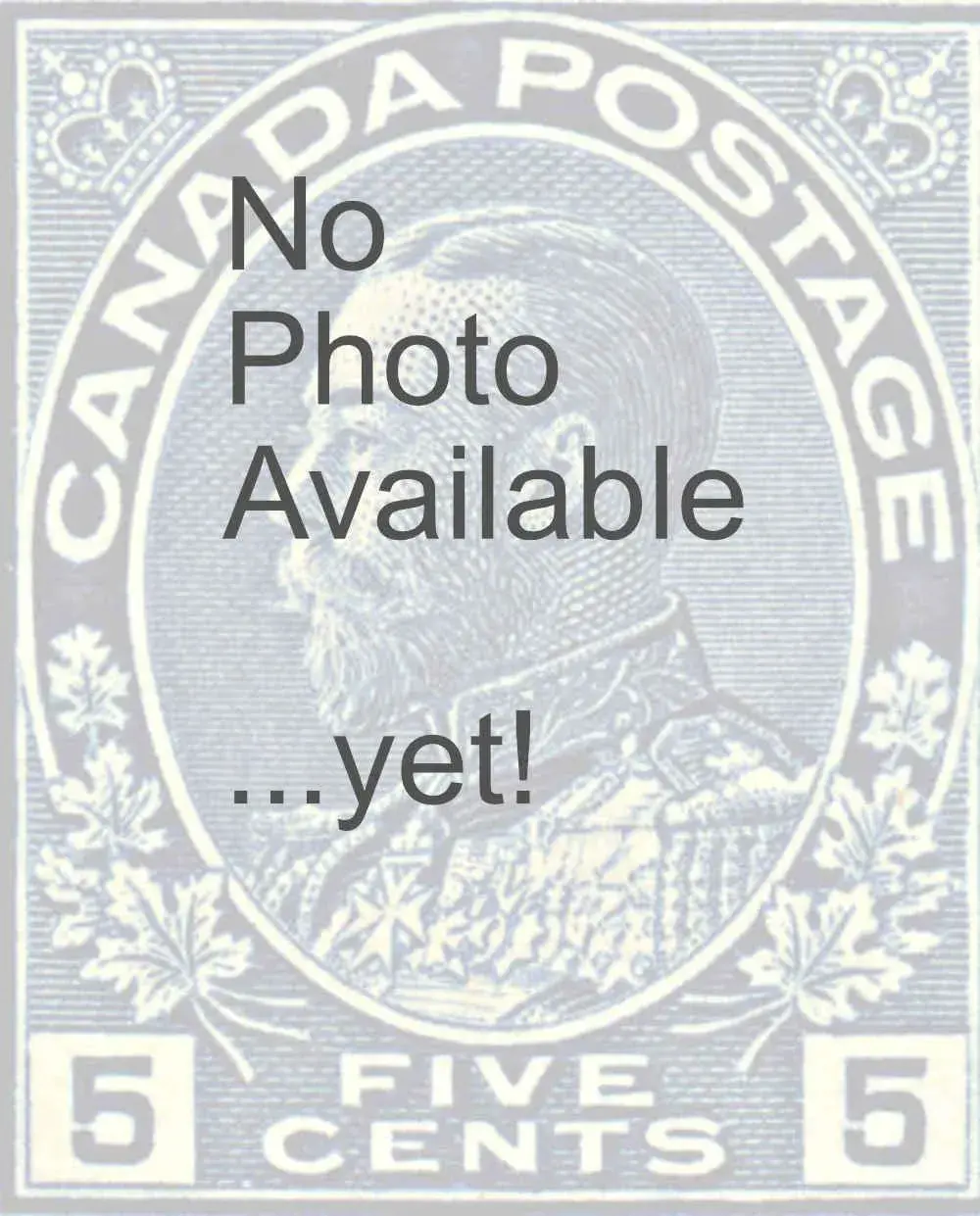 five-cent-violet-17lr84-image_primary-original.webp