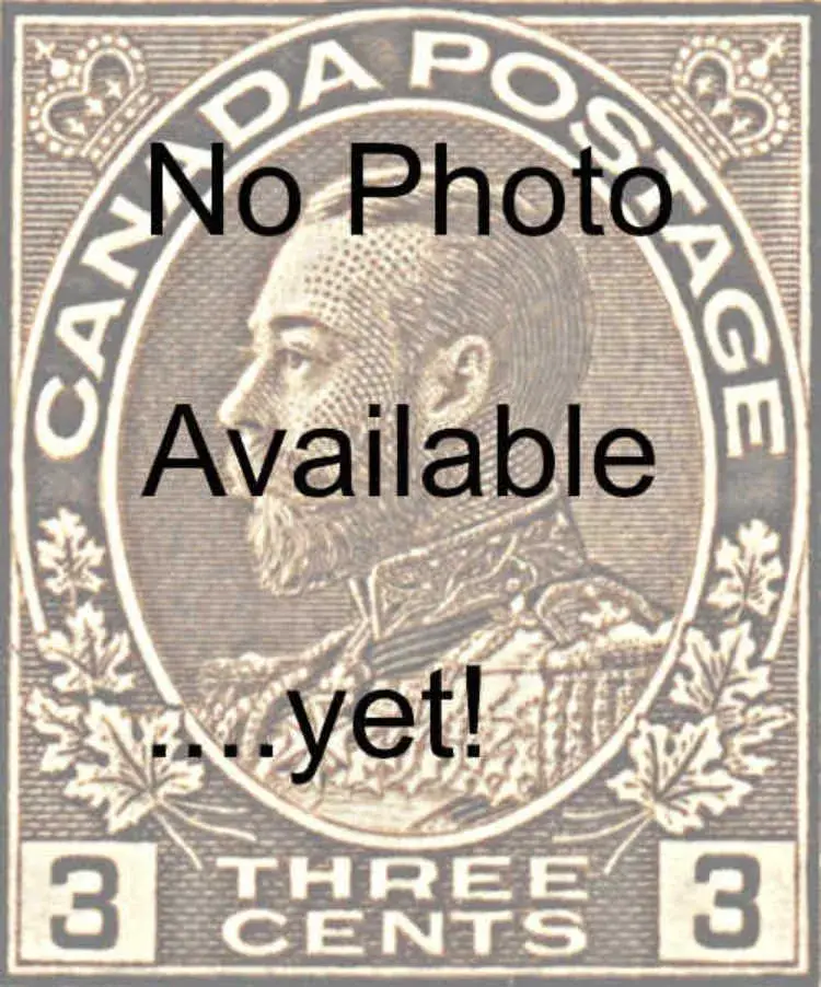 three-cent-brown-107ur82.webp