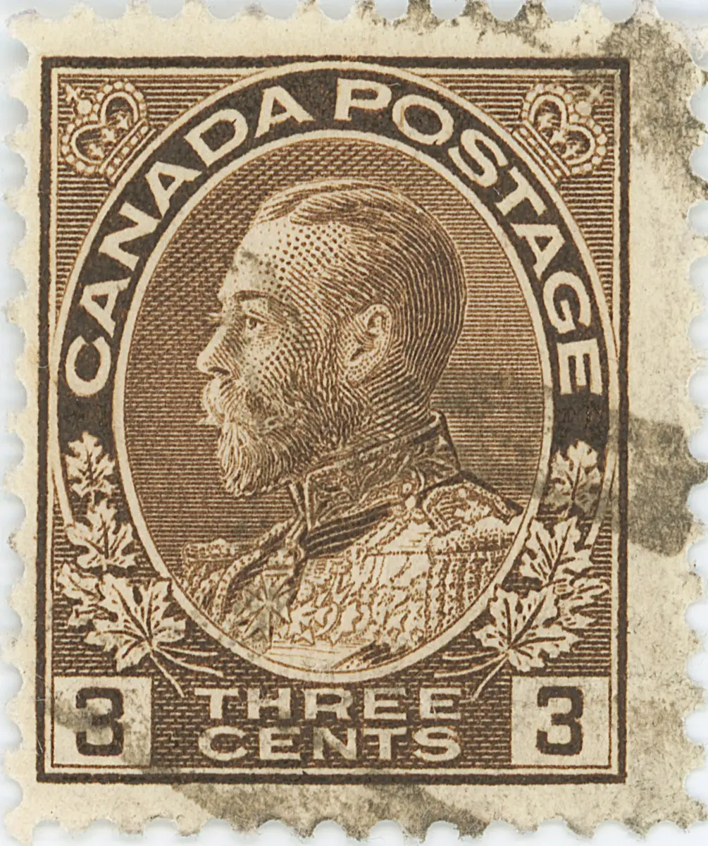 three-cent-brown-62ur32.webp
