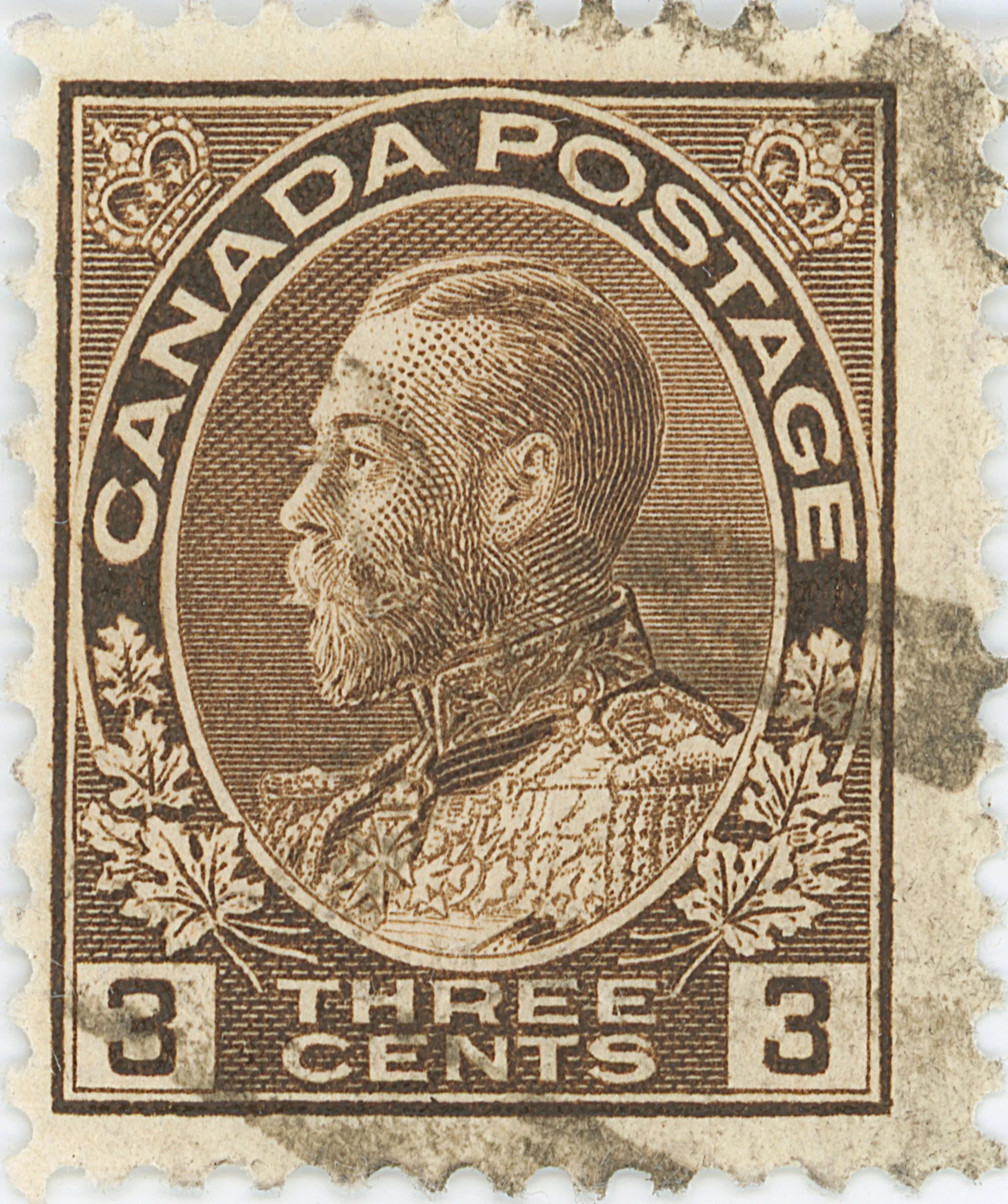 three-cent-brown-62ur32.webp