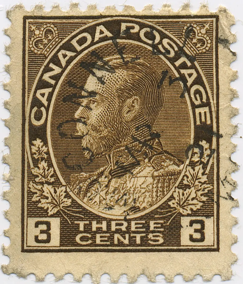 three-cent-brown-93ul8.webp