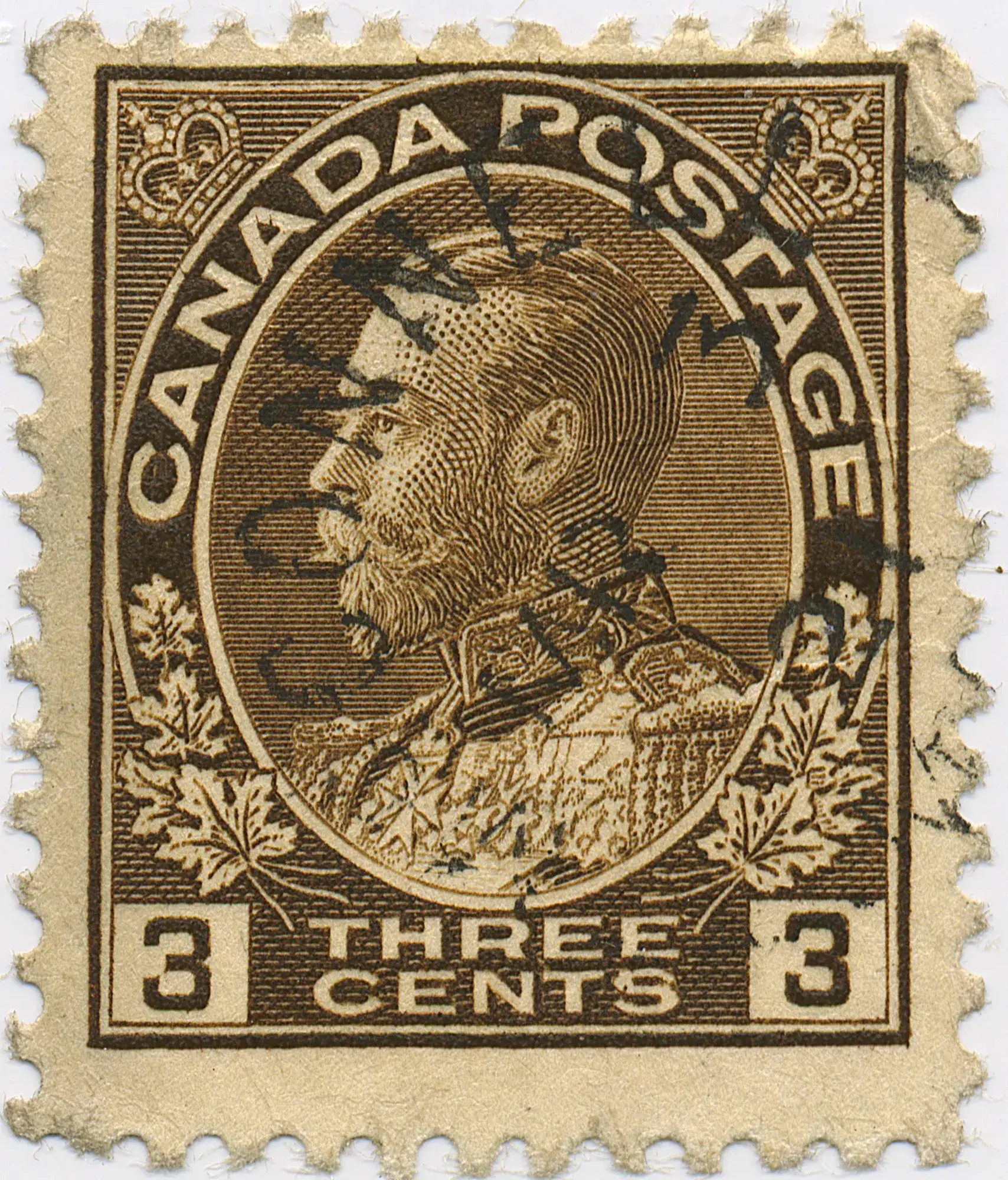 three-cent-brown-93ul8.webp